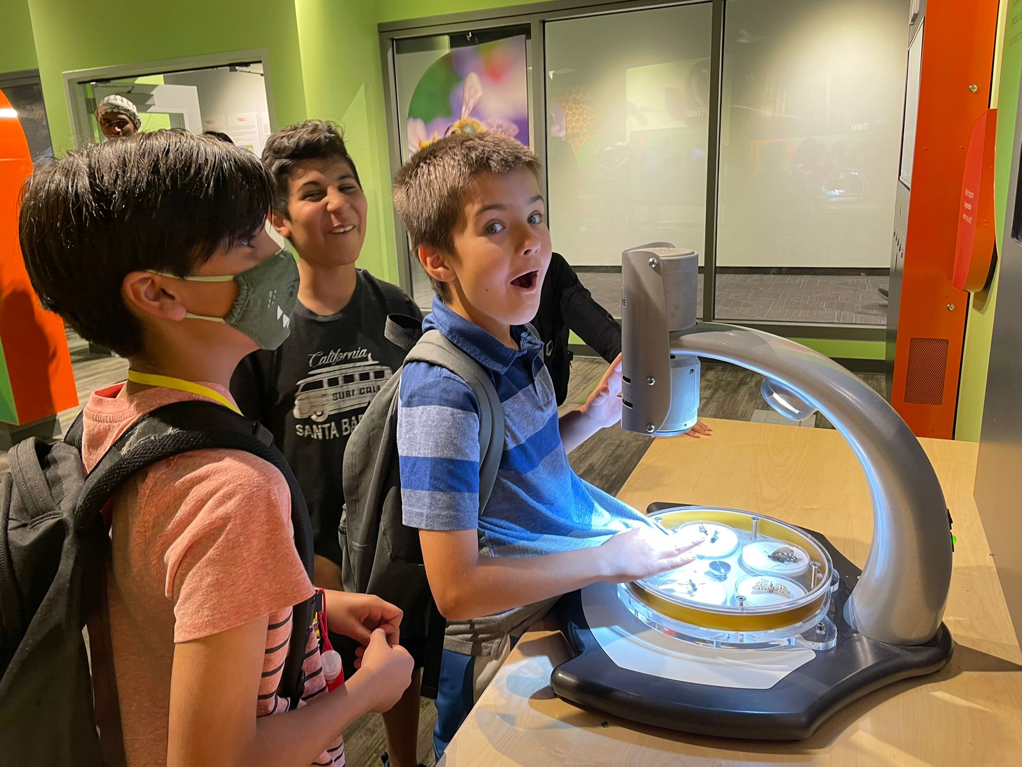Fullscreen Gallery Image
